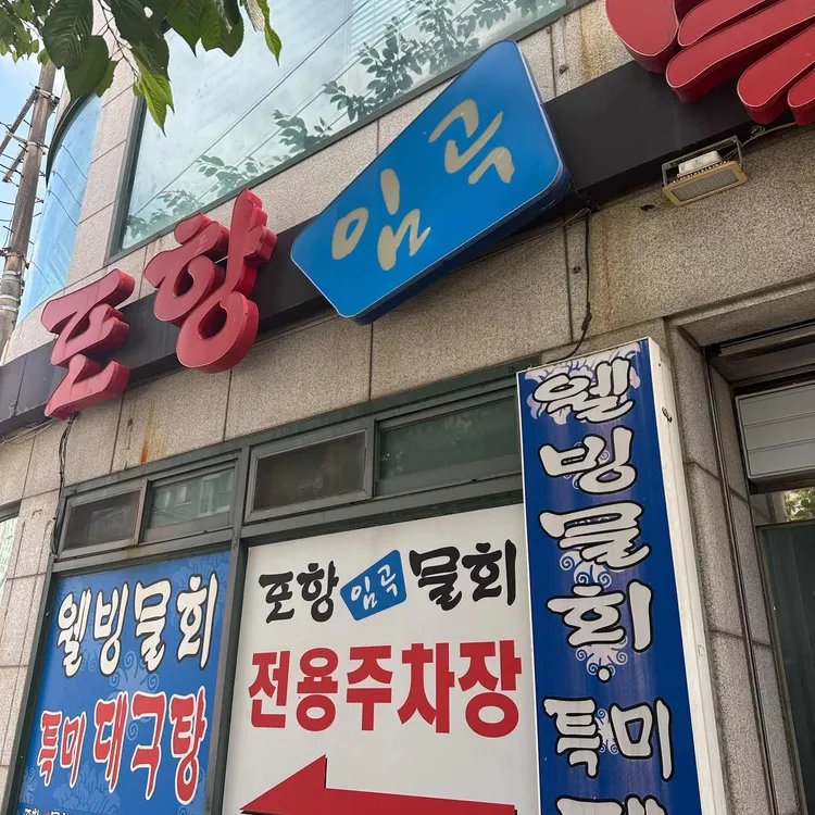 포항임곡물회 대표 사진