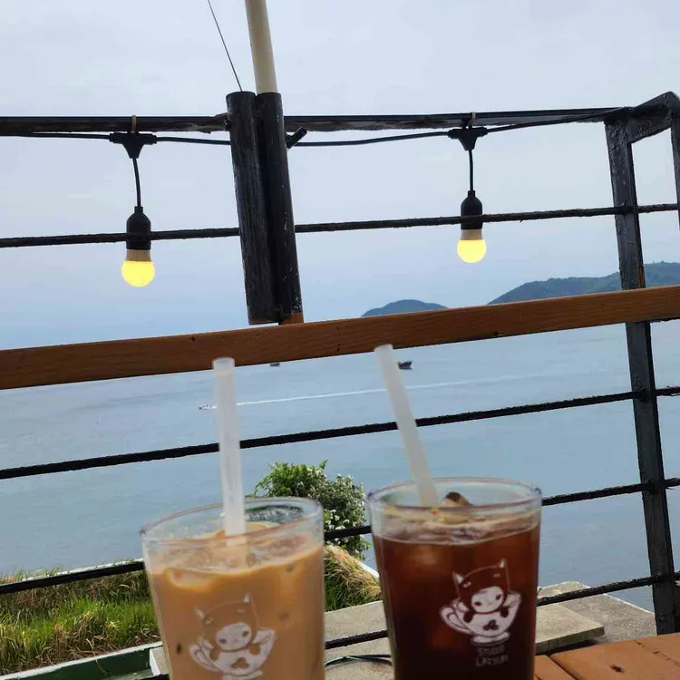 The lazy cat 대표 사진