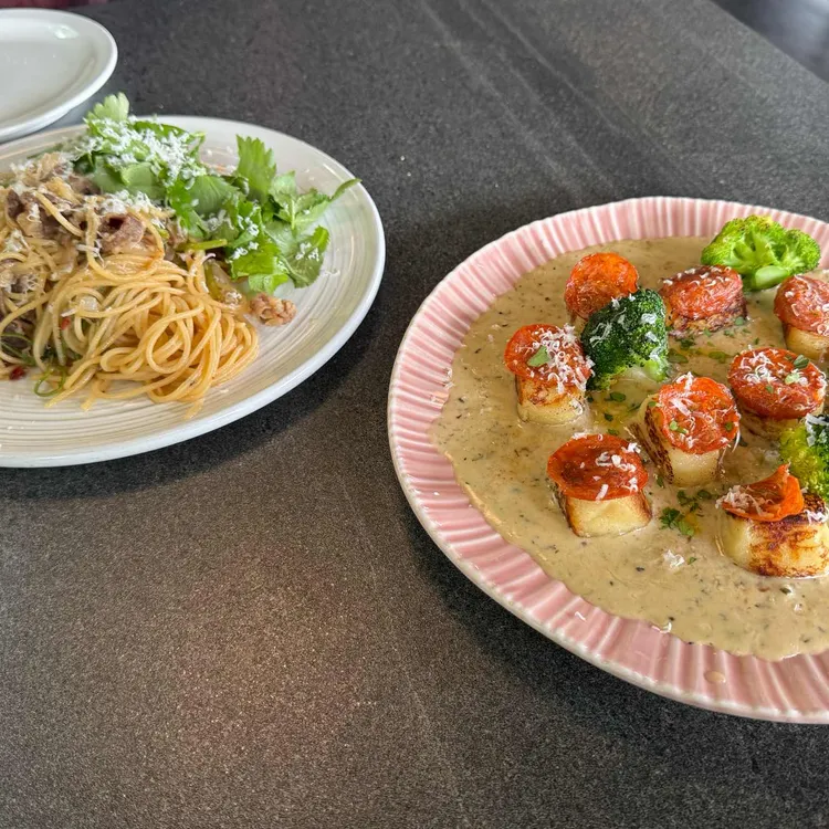 부조화숲 대표 사진