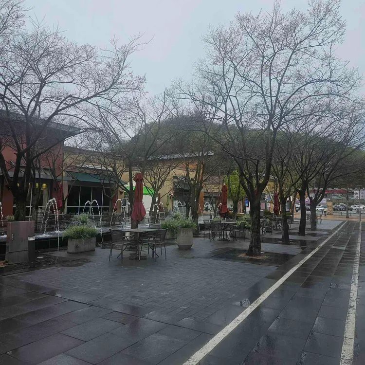 노티드 사진 2