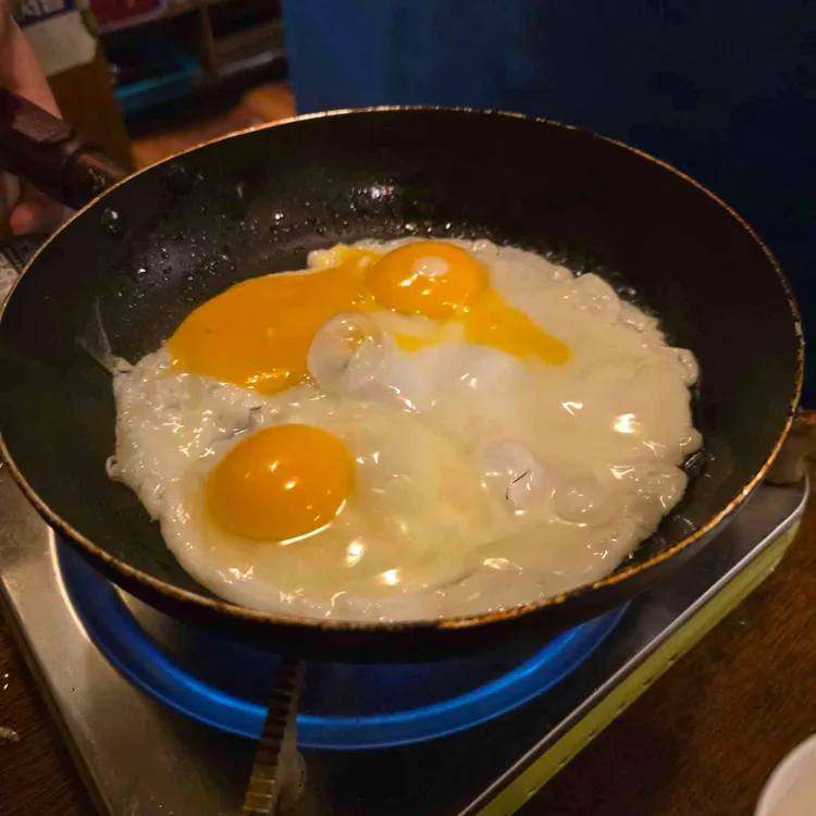 갯벌의진주 사진 1
