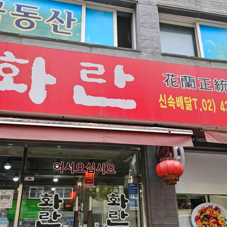 화란 대표 사진