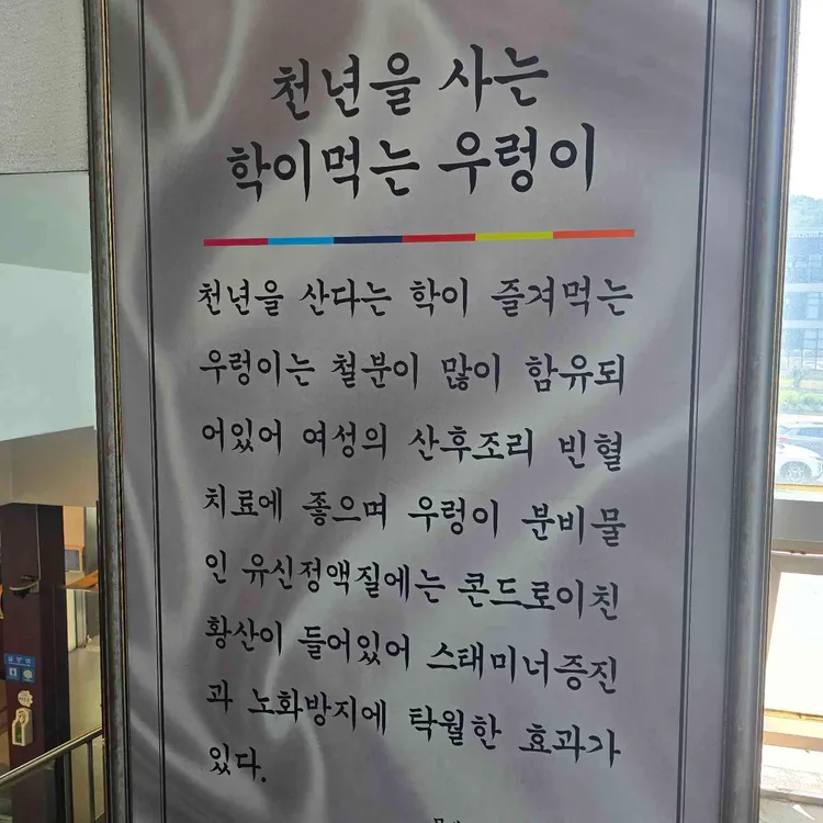 입큰메기 사진 2