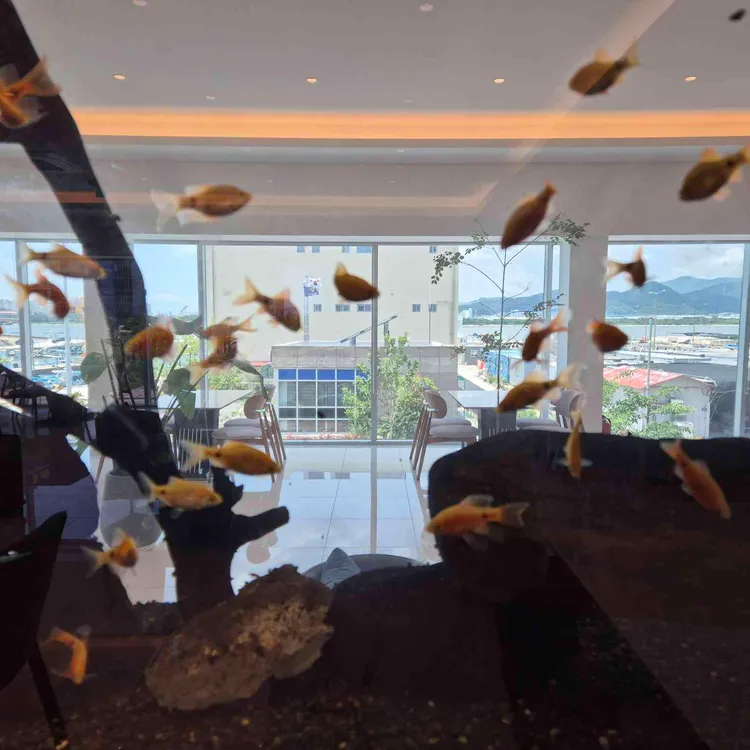 VISTA MAR 대표 사진