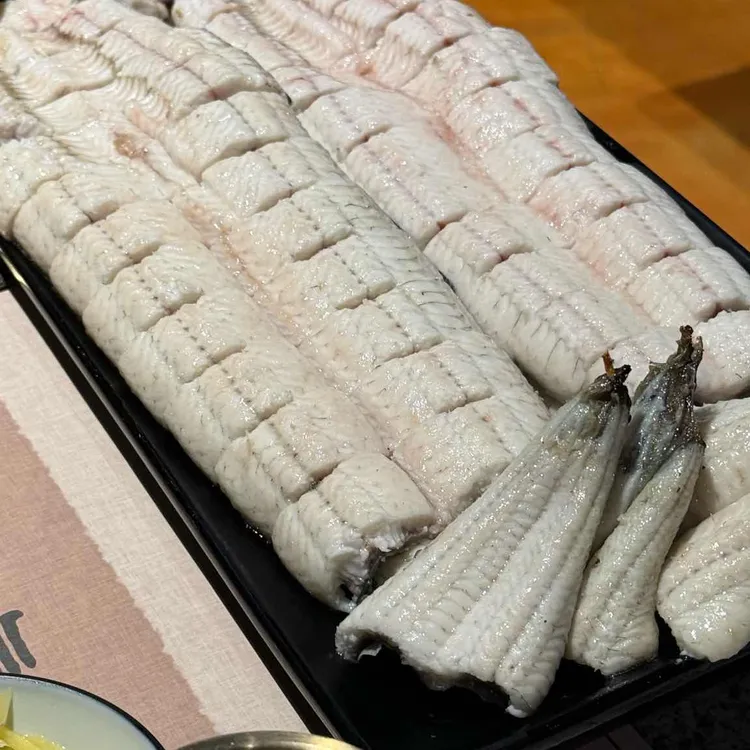 유록장어 사진 1