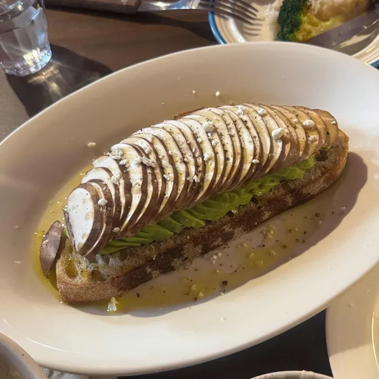 오파토 대표 사진