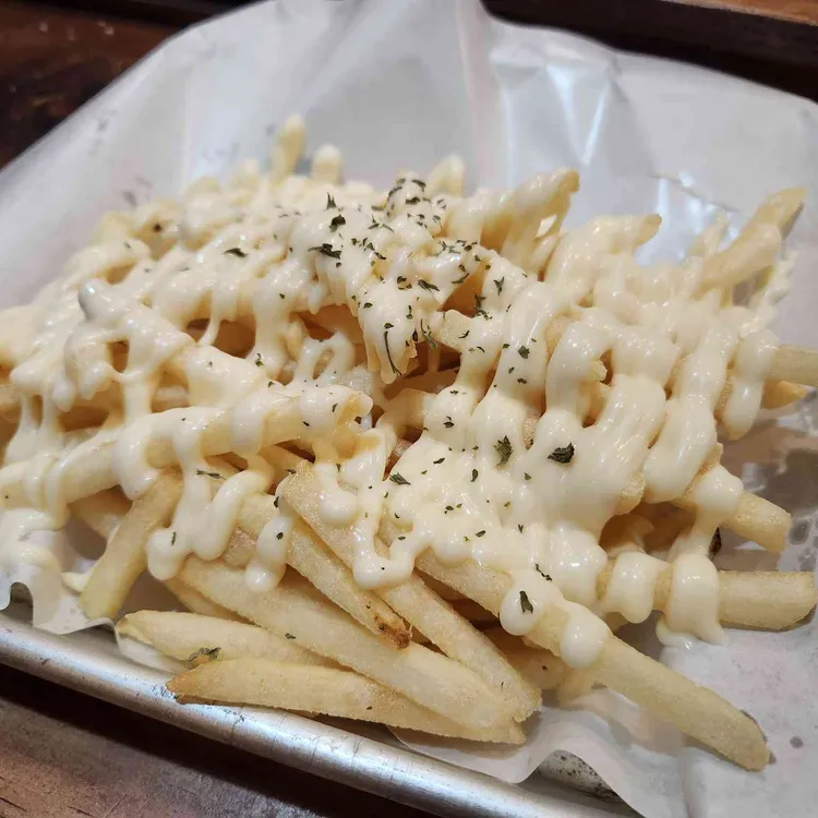 오비베어 대표 사진