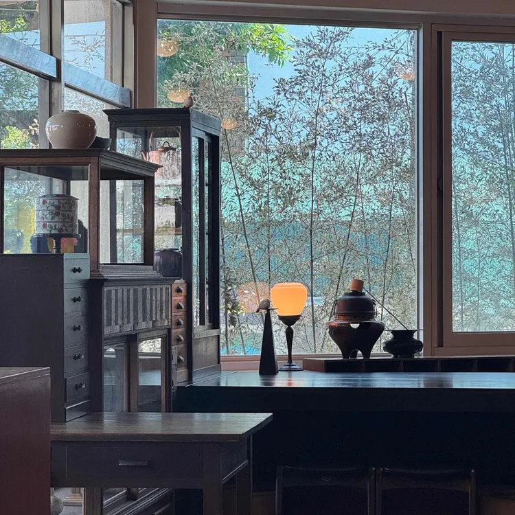 스나오 코히 사진 2