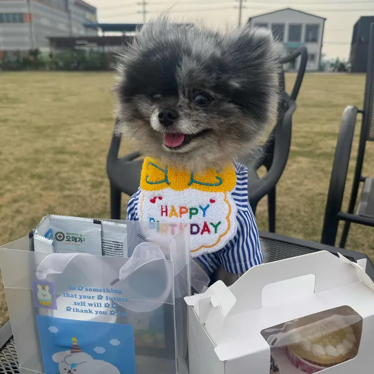 전포 똥강아지 대표 사진