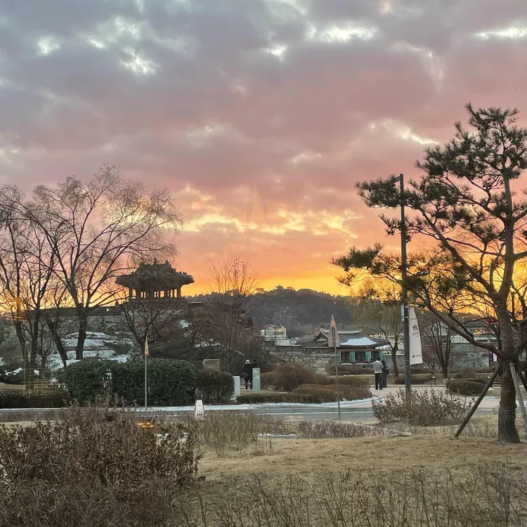 주목 대표 사진