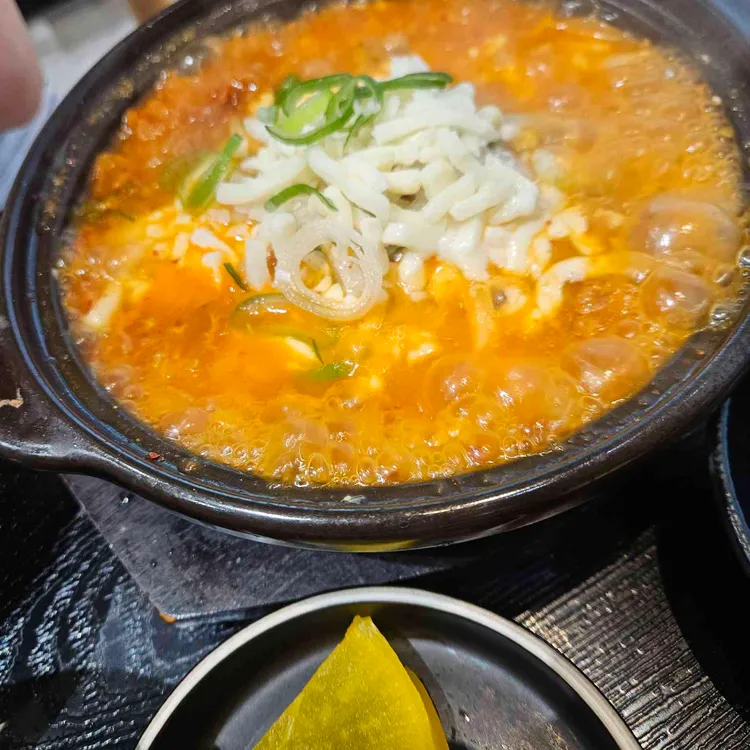송 대표 사진