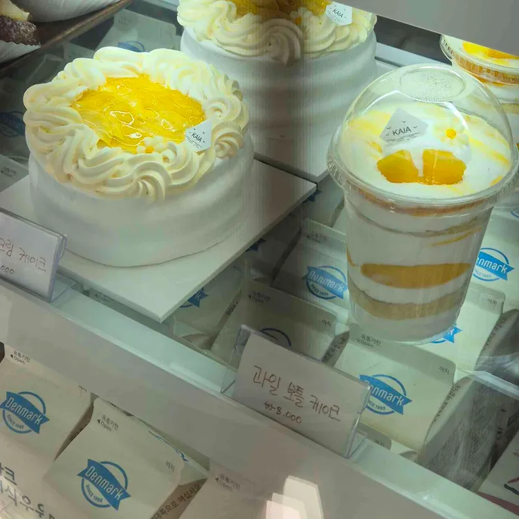 KAIA 대표 사진