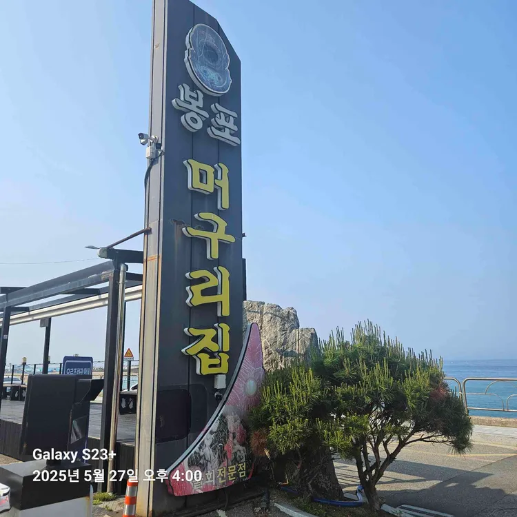 봉포머구리집 사진