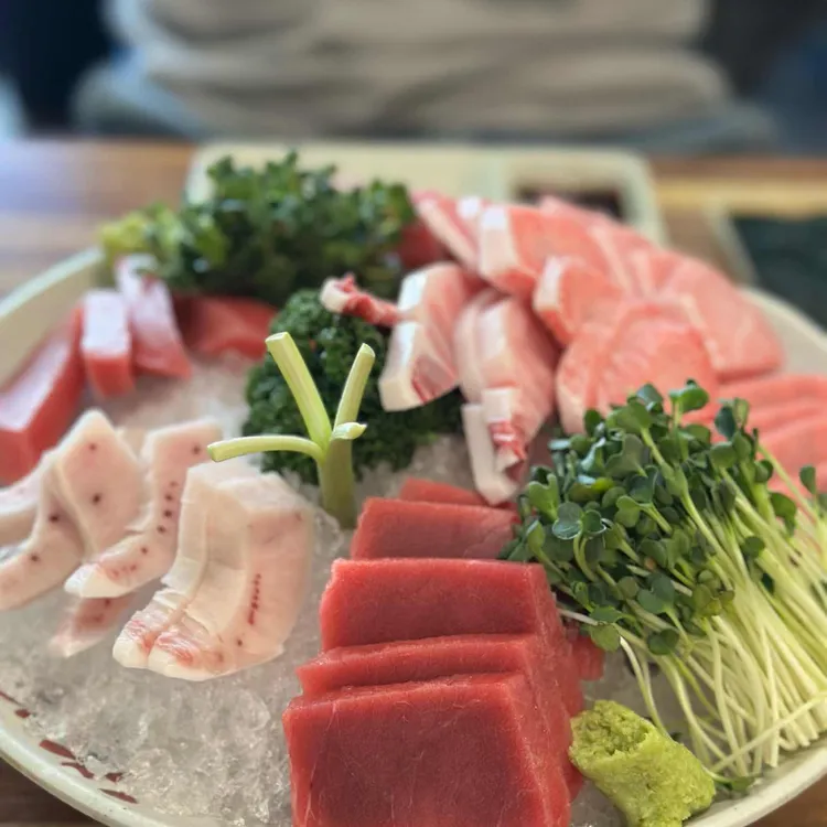 신참치 대표 사진