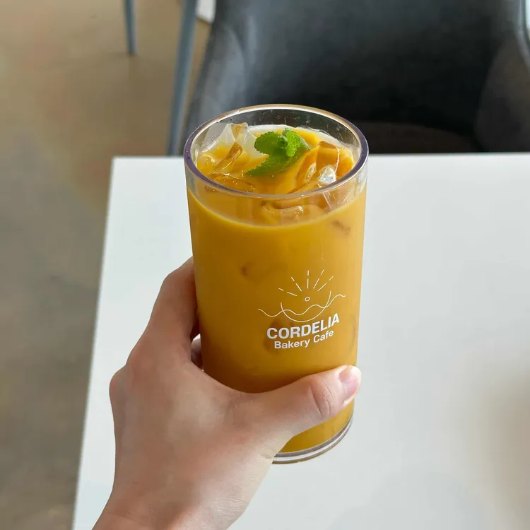코델리아 대표 사진