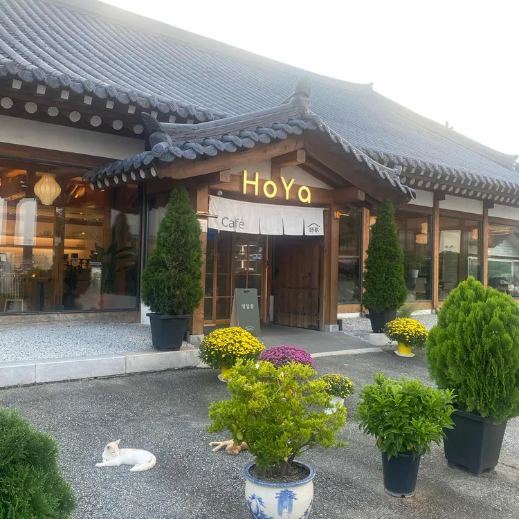 카페호야 대표 사진