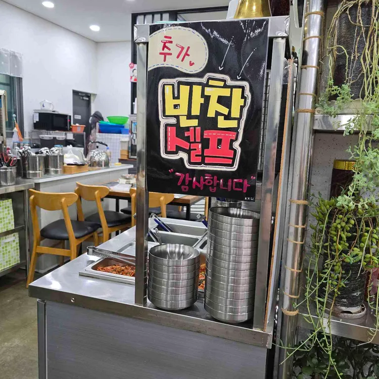 느릅나무 사진 2