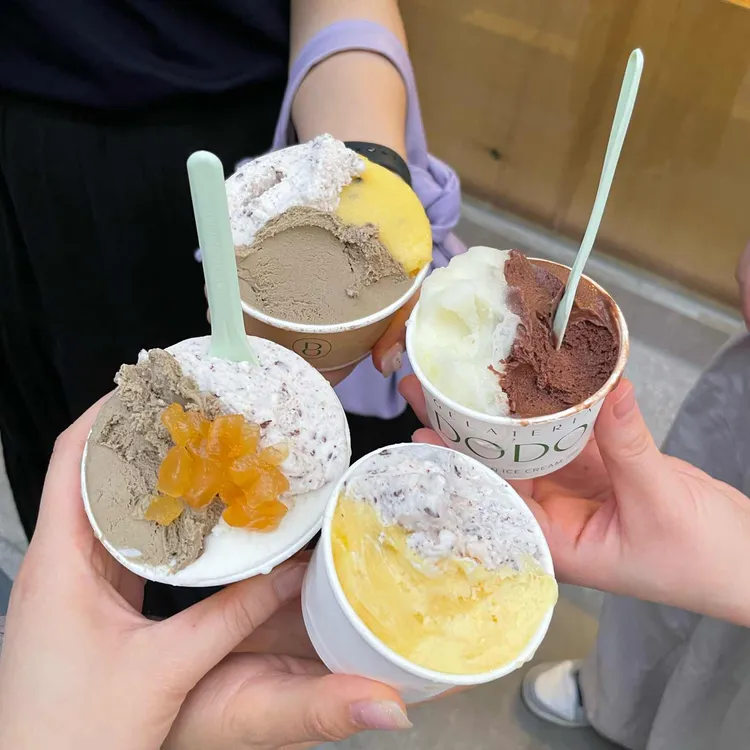 젤라떼리아 도도 대표 사진