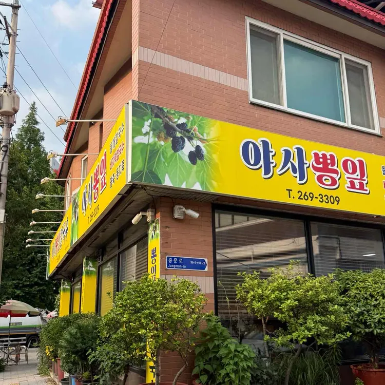야사뽕잎칼국수 사진 2