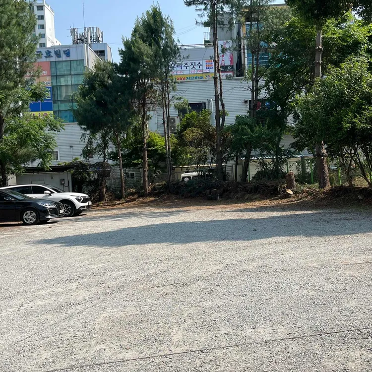 브런치투나잇 대표 사진