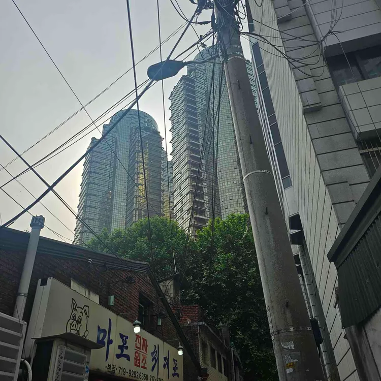 마포진짜원조최대포집 사진 2