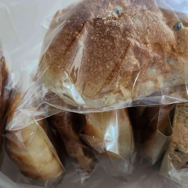 곤트란쉐리에 대표 사진