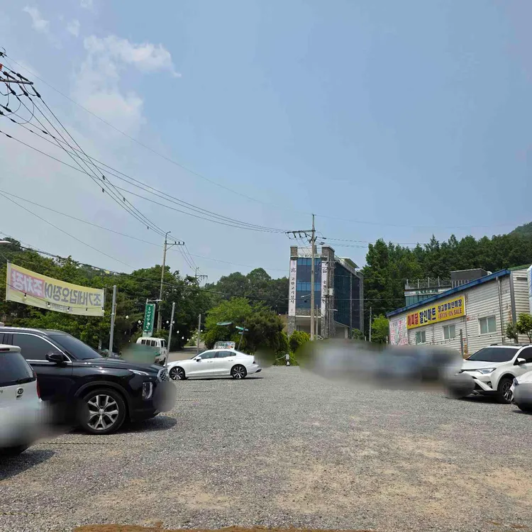 조가네갑오징어 대표 사진