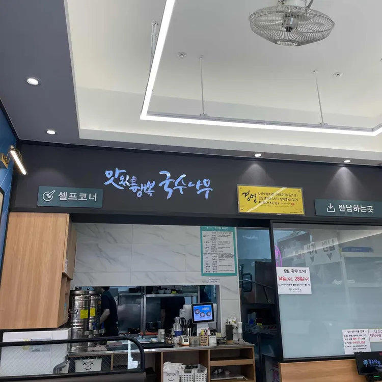 국수나무 대표 사진