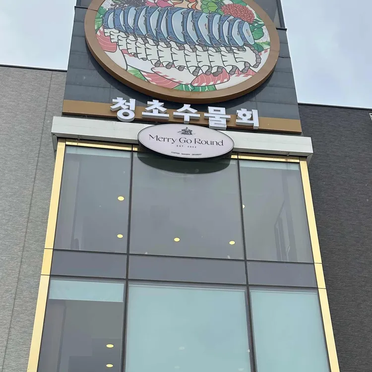 청초수물회 사진