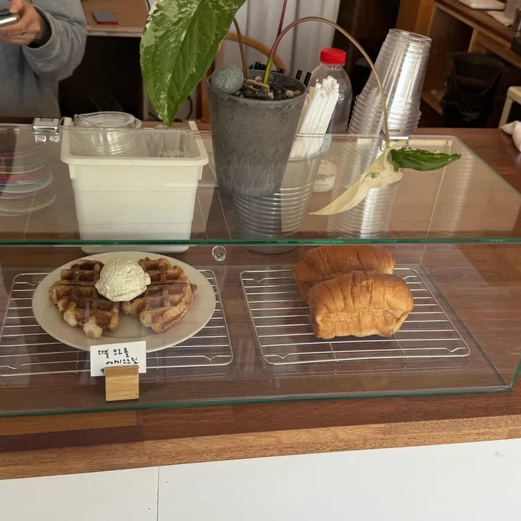 식목일 대표 사진