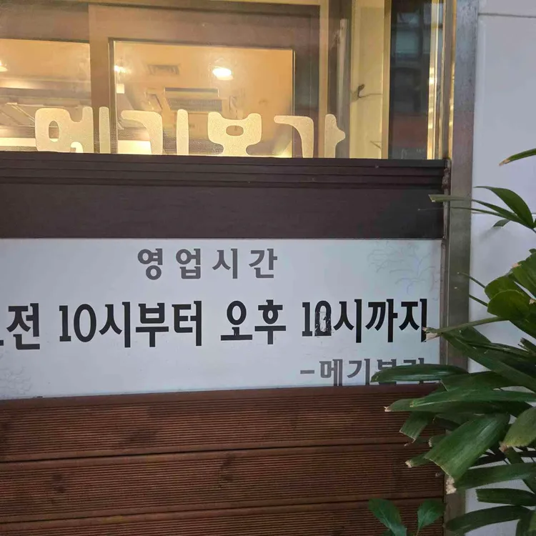 메기본가 사진 2