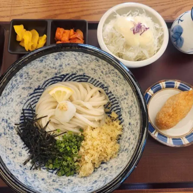 코시 사진 1