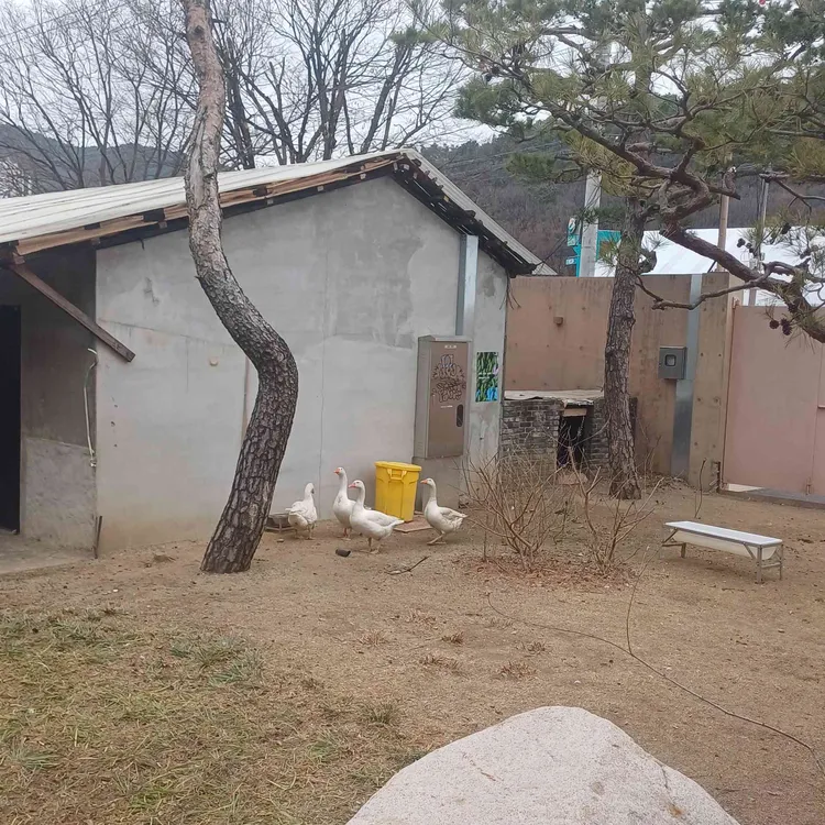 mrnw 대표 사진