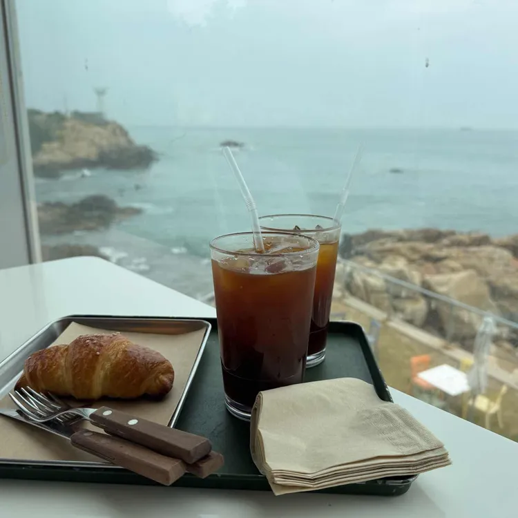 팜트리 대표 사진