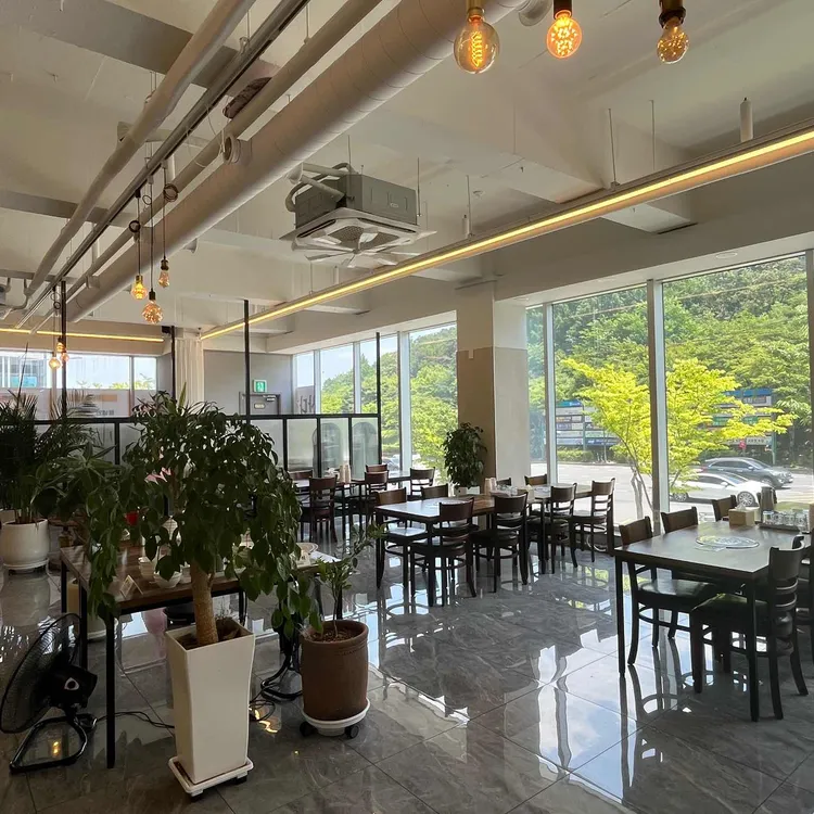 산다화 대표 사진