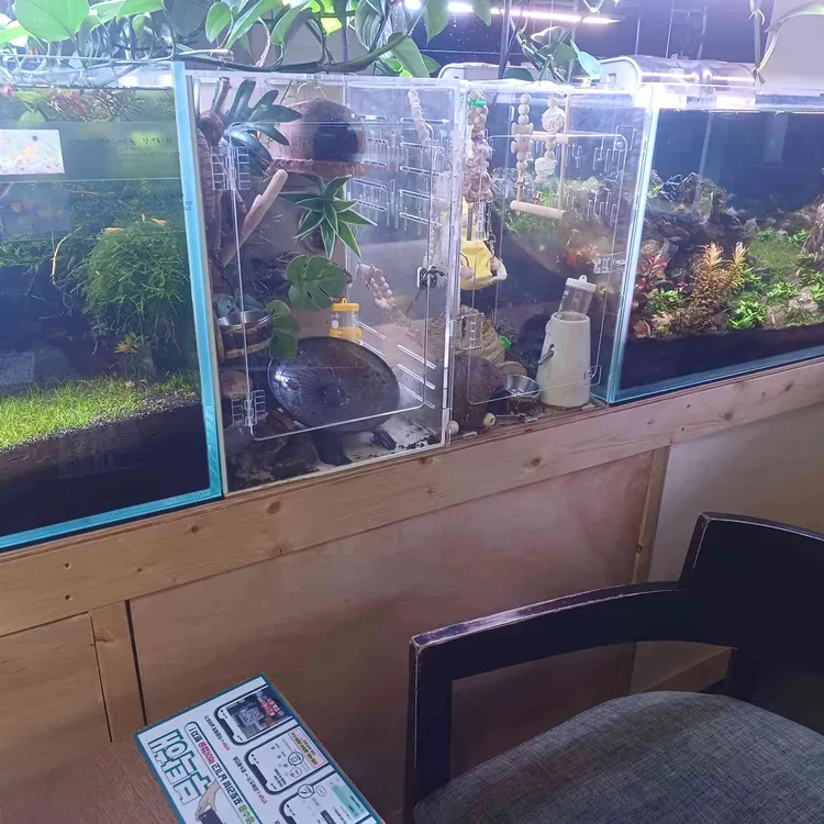 작은연못 대표 사진