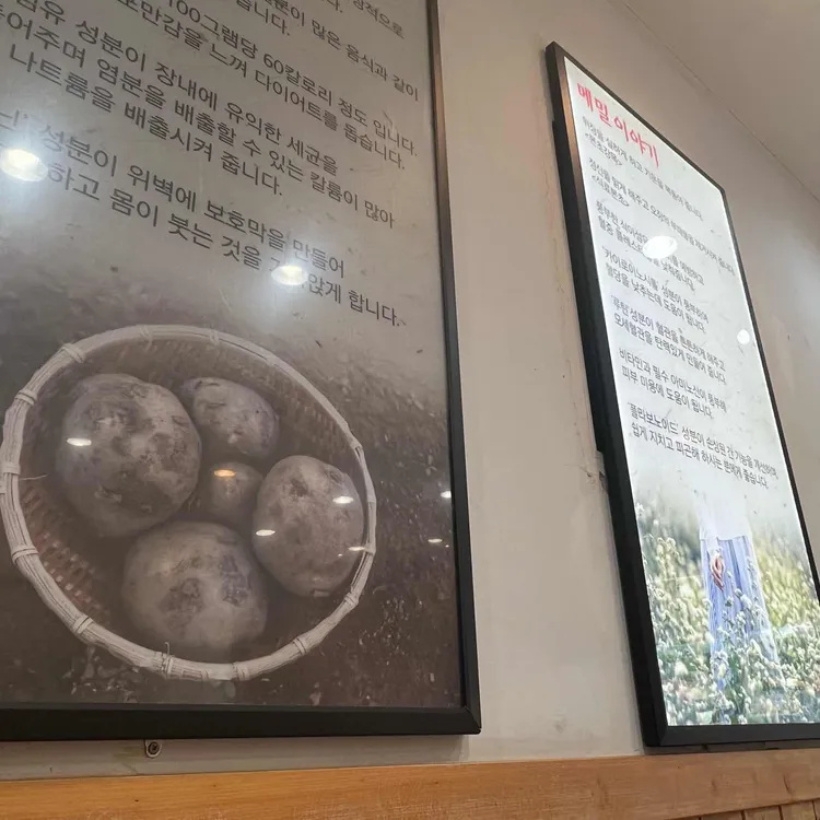 옹시미 대표 사진