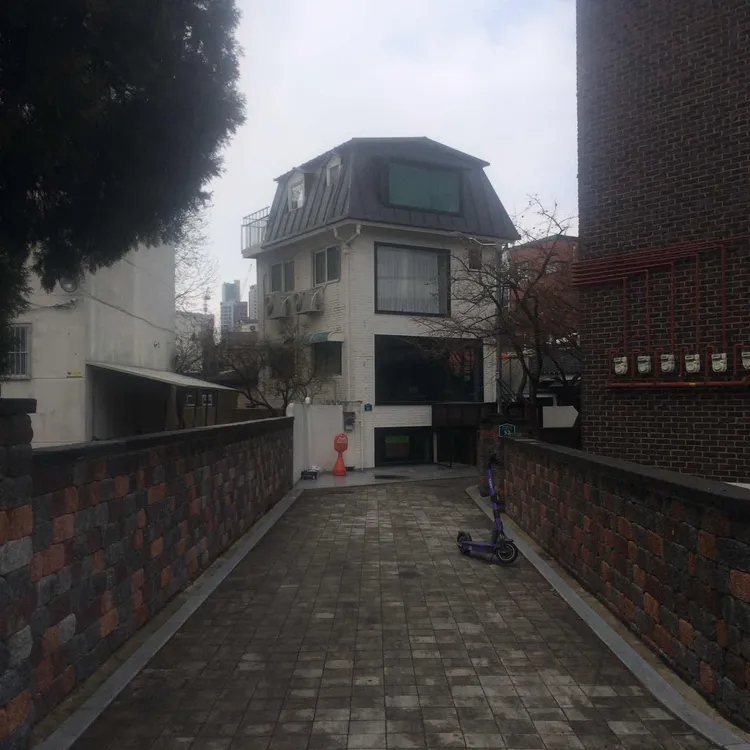 흰그루 대표 사진