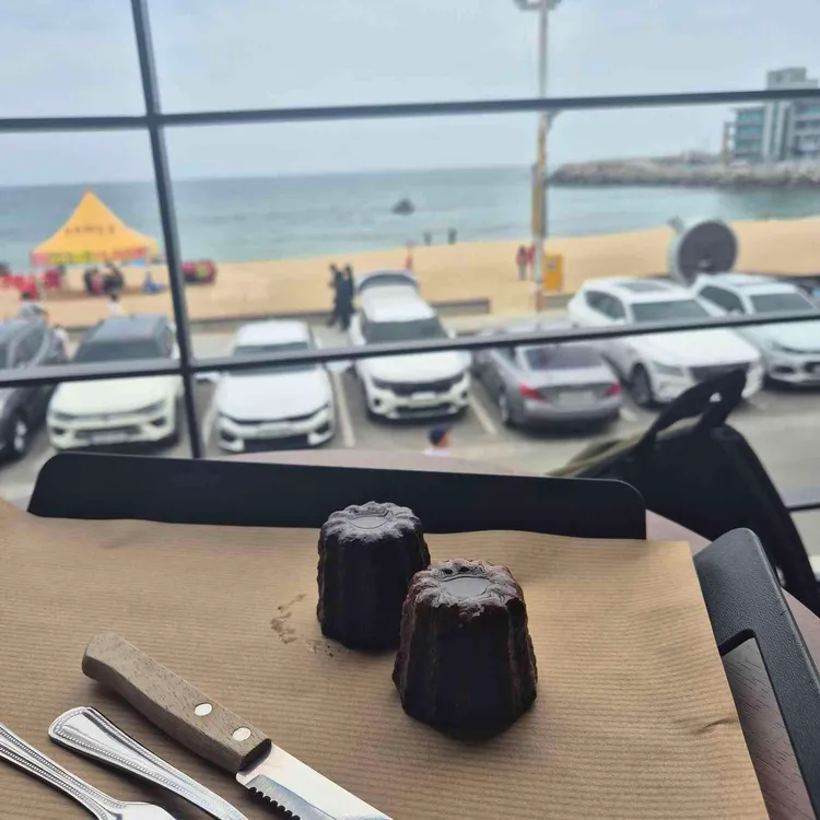 보사노바 대표 사진