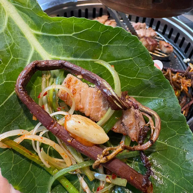 거북이동네 사진 2