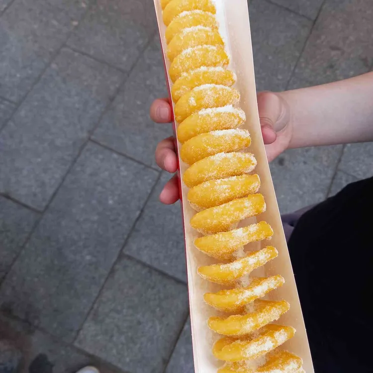 문.꼬.집 사진 2