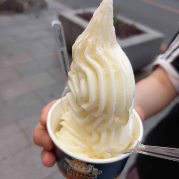 카이막딜라이트 사진 2