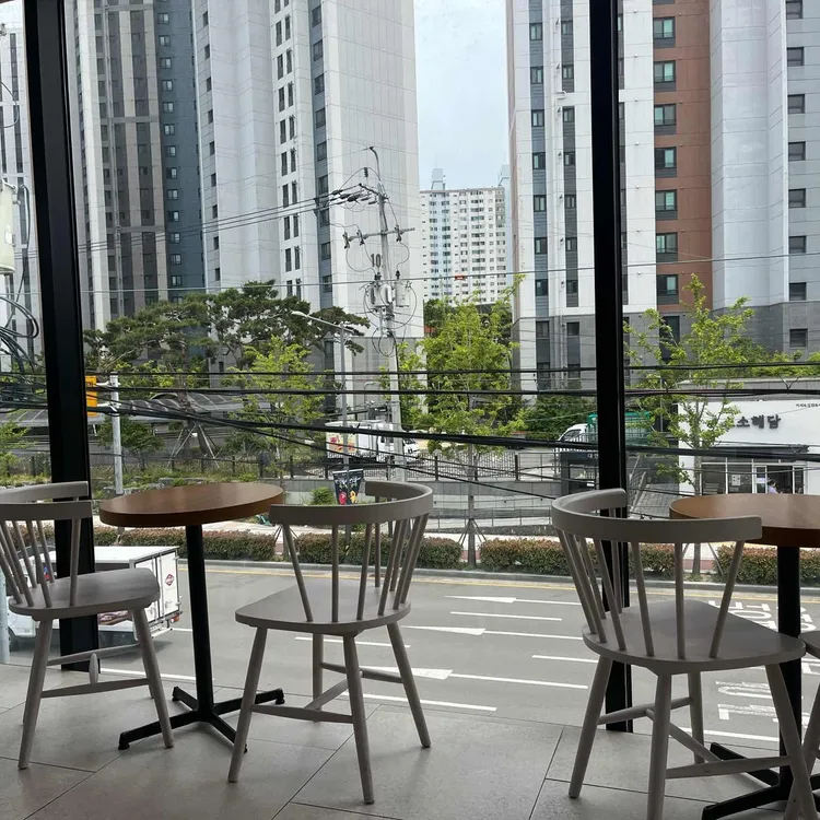폴 바셋 대표 사진