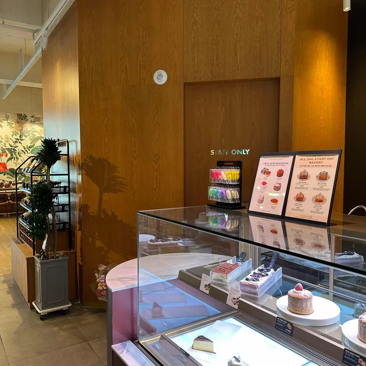 파스쿠찌 대표 사진