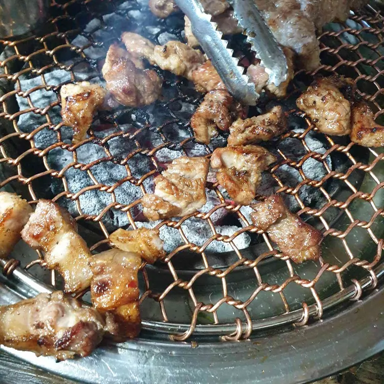 교래흑돼지 사진 2