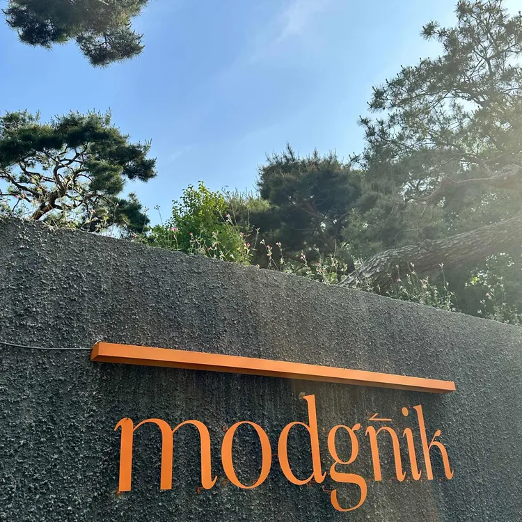 모드닉 대표 사진