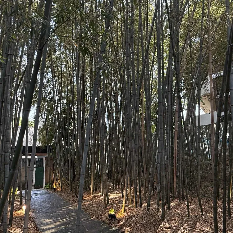 풍류소제 대표 사진