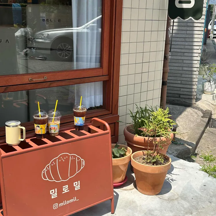 밀로밀 사진 1