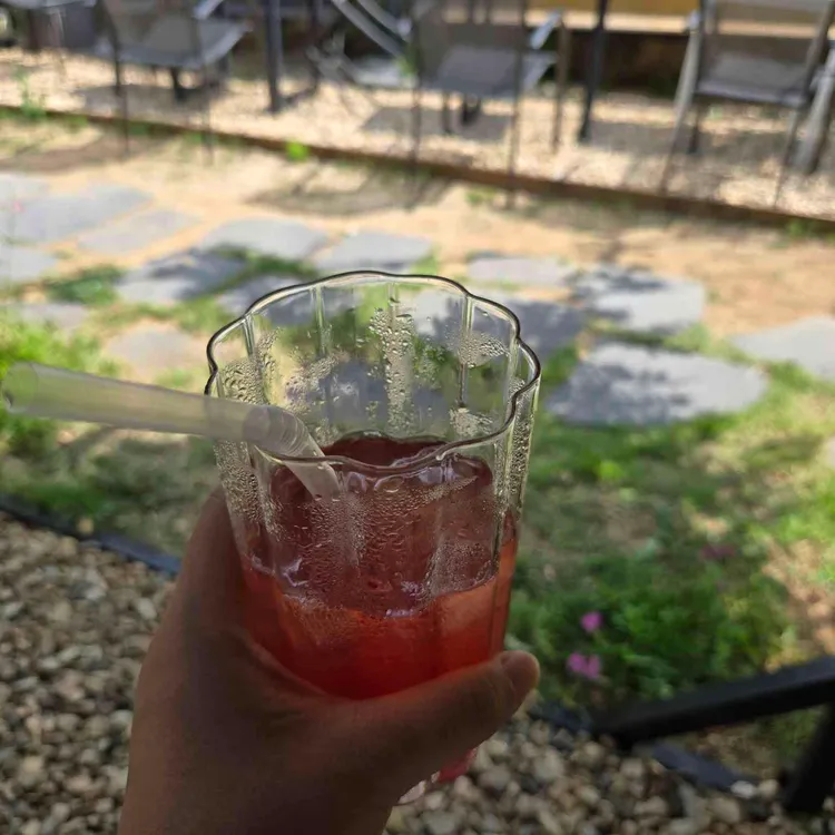 백일홍 대표 사진