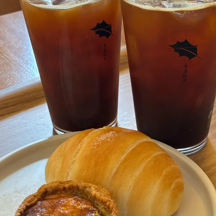 호랑가시 대표 사진